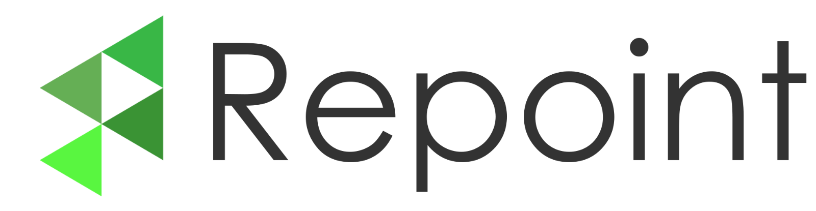 Repoint Logo